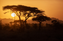 20131025063409_Serengeti_Tanzanie