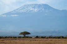 20180228060833_Kilimanjaro_Amboseli Kenya