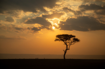 20190724181323_soleil_Masai Mara Kenya